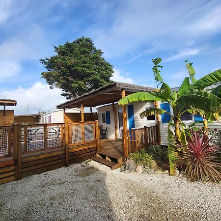 Camping L'Albatros Ла-Плен-сюр-Мер Экстерьер фото